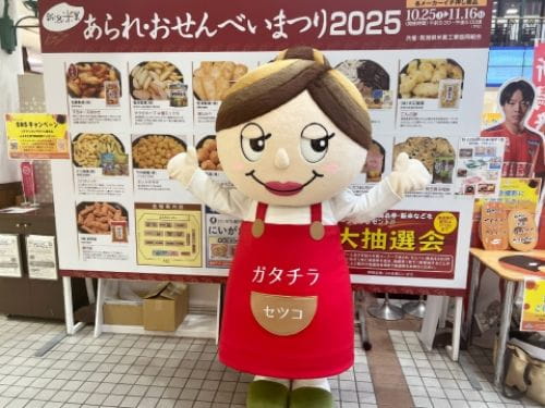 セツコママの写真