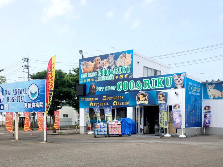 上越市に「ペットショップCOO&RIKU 上越店」がオープン！ 地域情報サイト『ガタチラ』