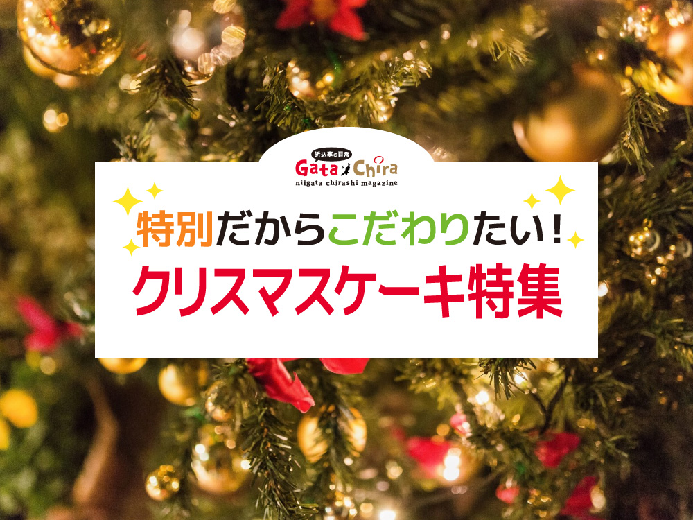 クリスマス特集 今年のクリスマスケーキはここに決まり 折込家がおすすめするケーキ屋さんをご紹介します 新着情報 地域情報サイト ガタチラ