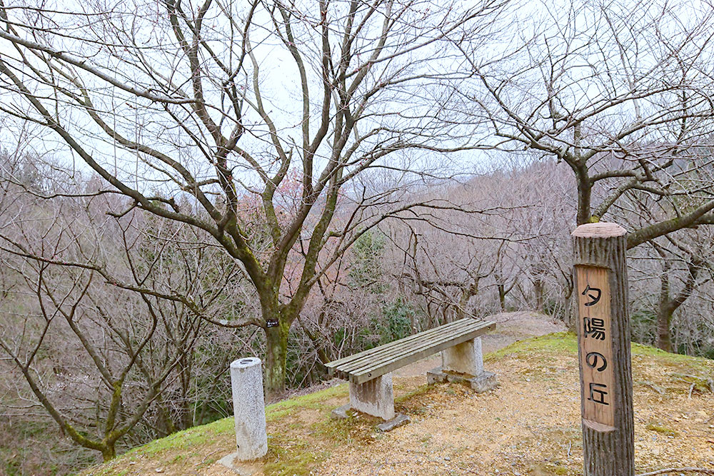 大峰山桜公園