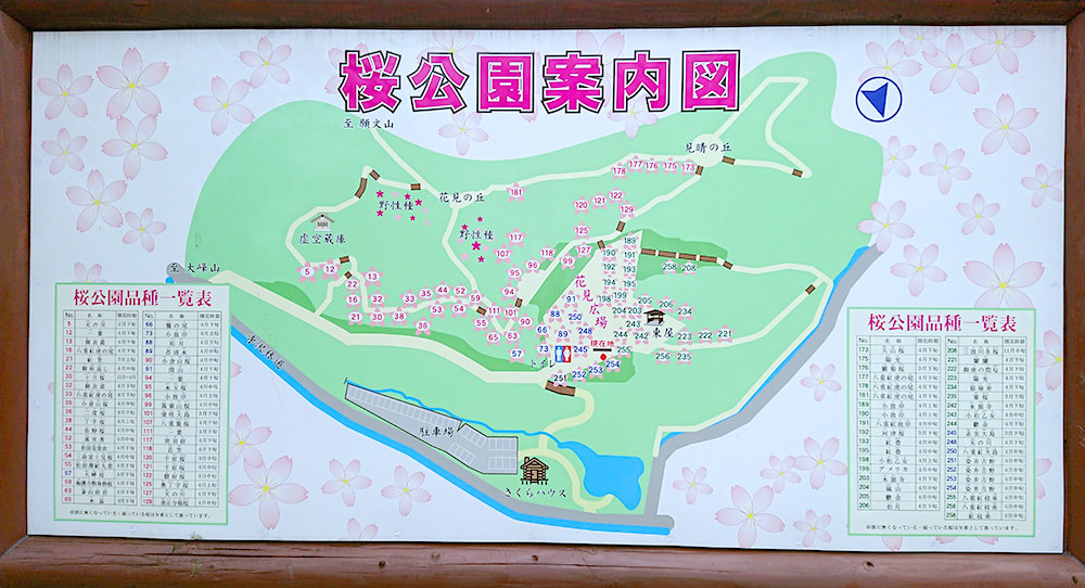 大峰山桜公園