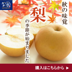 梨