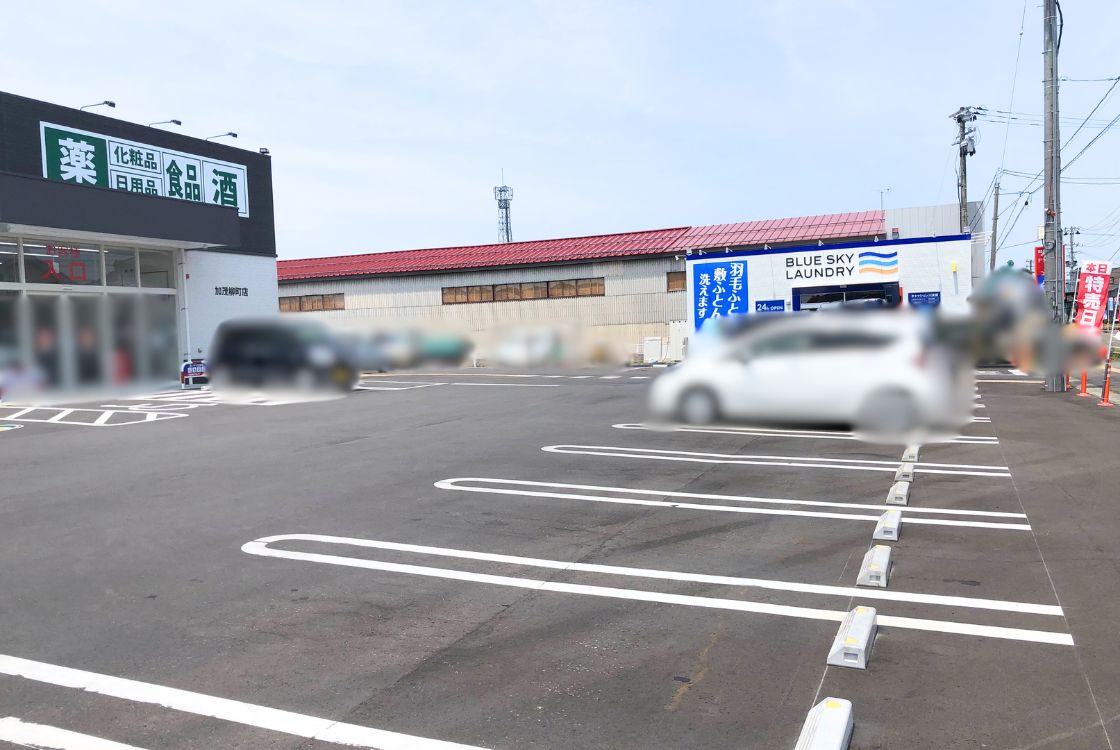 ブルースカイランドリーツルハドラッグ 加茂柳町店_場所