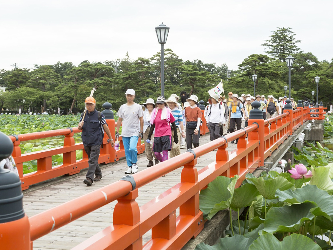 高田城址公園観蓮会