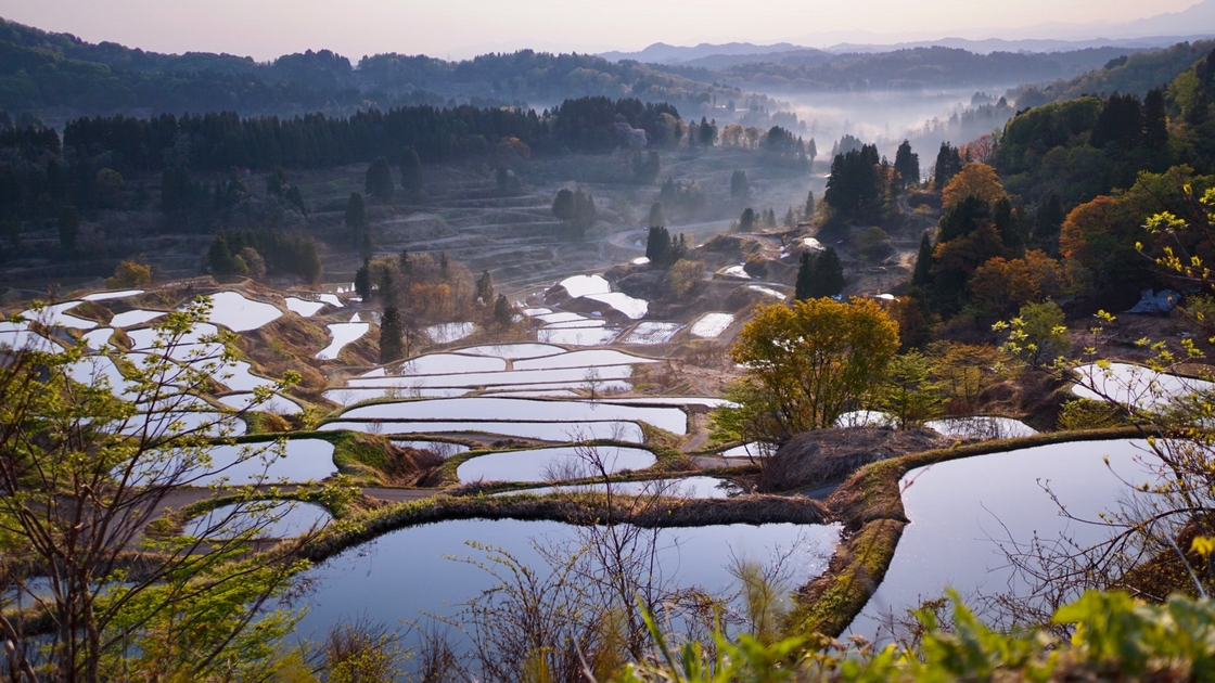 星峠の棚田