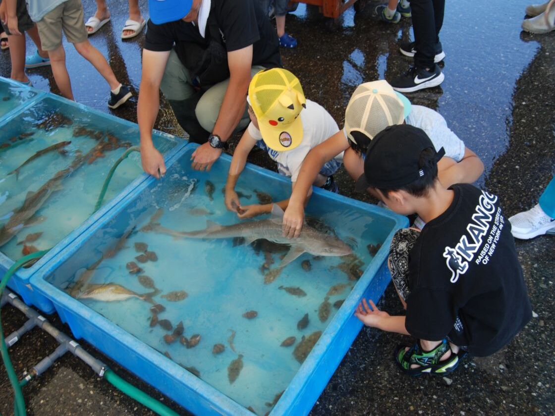 魚と漁師と遊ぼう　新潟市