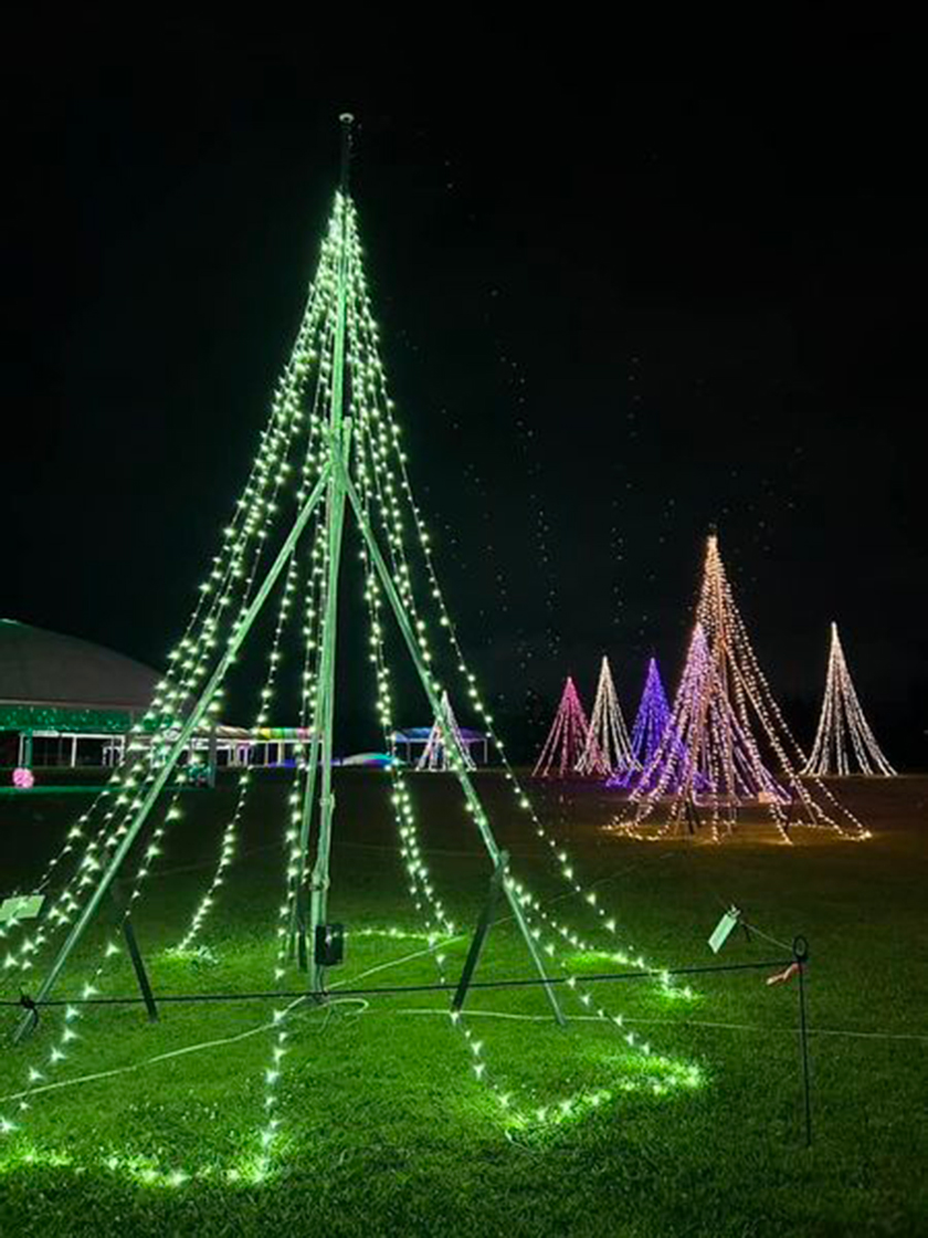 国営越後丘陵公園_サマーナイト★ピクニック