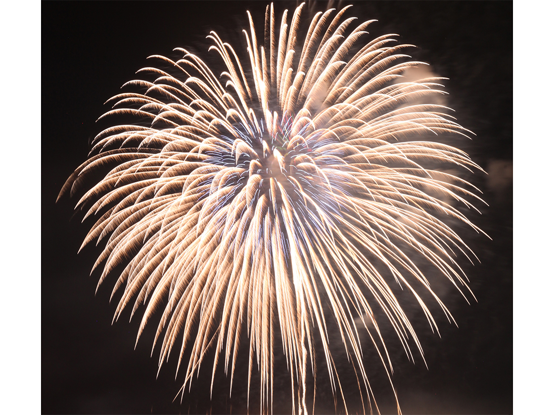 越後加茂川夏祭り