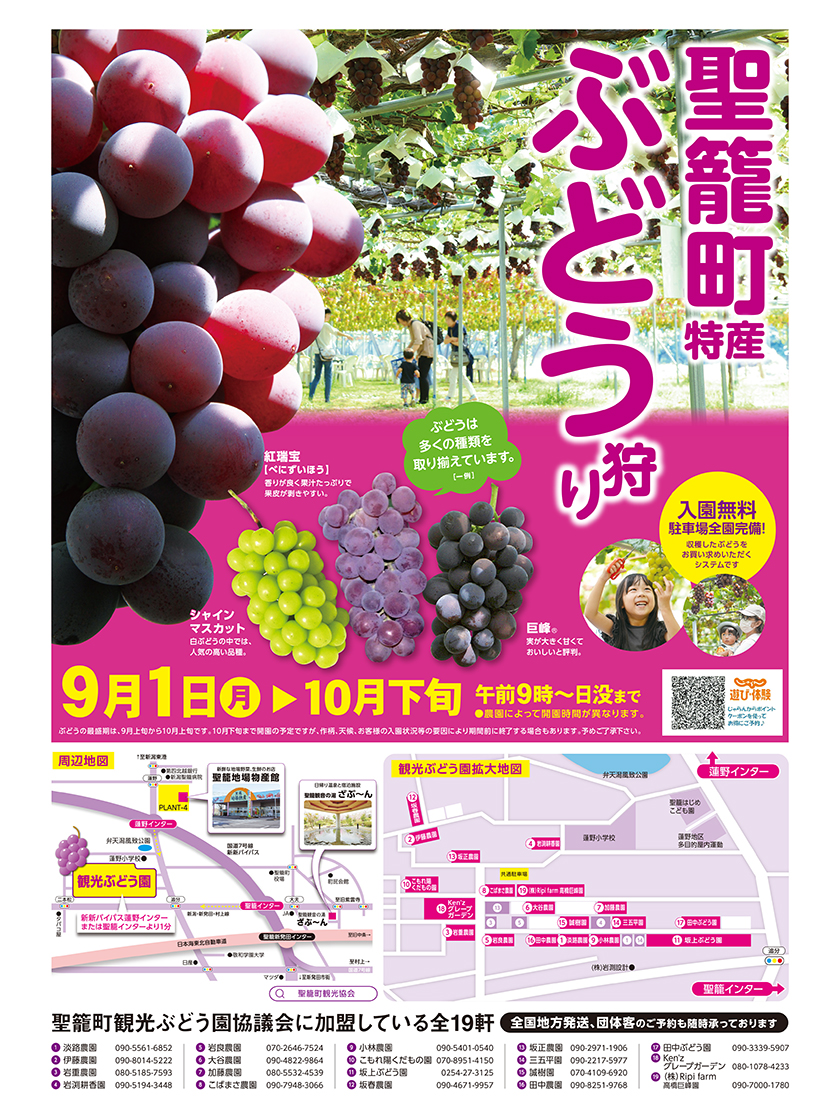 聖籠町ぶどう狩りのチラシ
