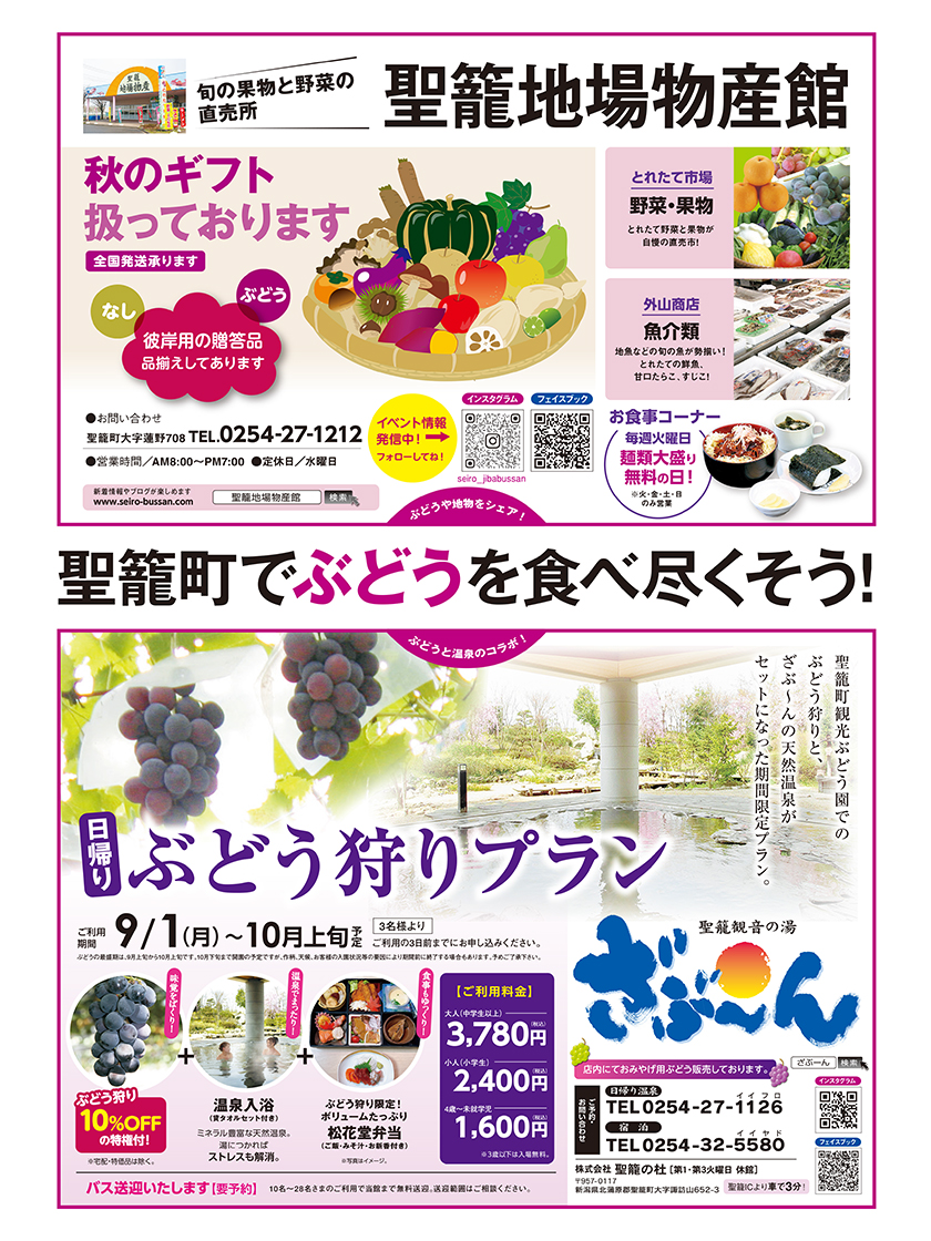 聖籠町ぶどう狩りのチラシ