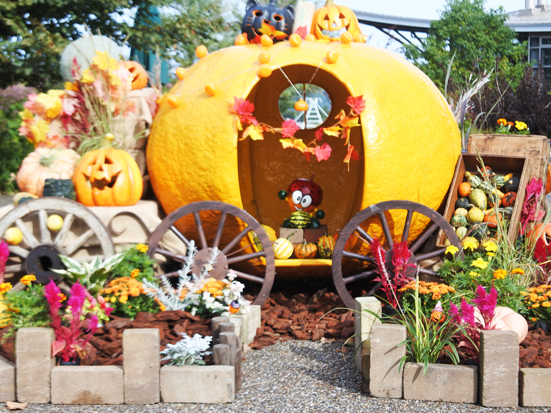 越後丘陵公園 秋バラとハロウィン・ハーバスト