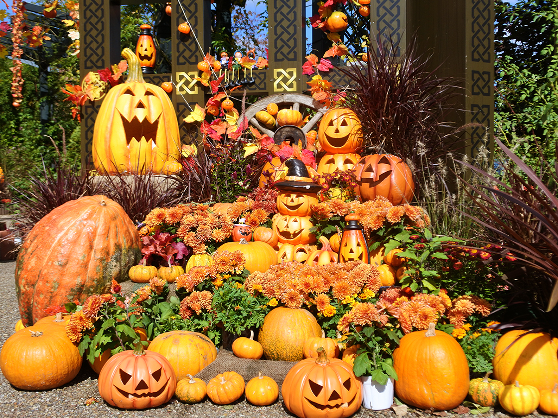 越後丘陵公園 秋バラとハロウィン・ハーバスト