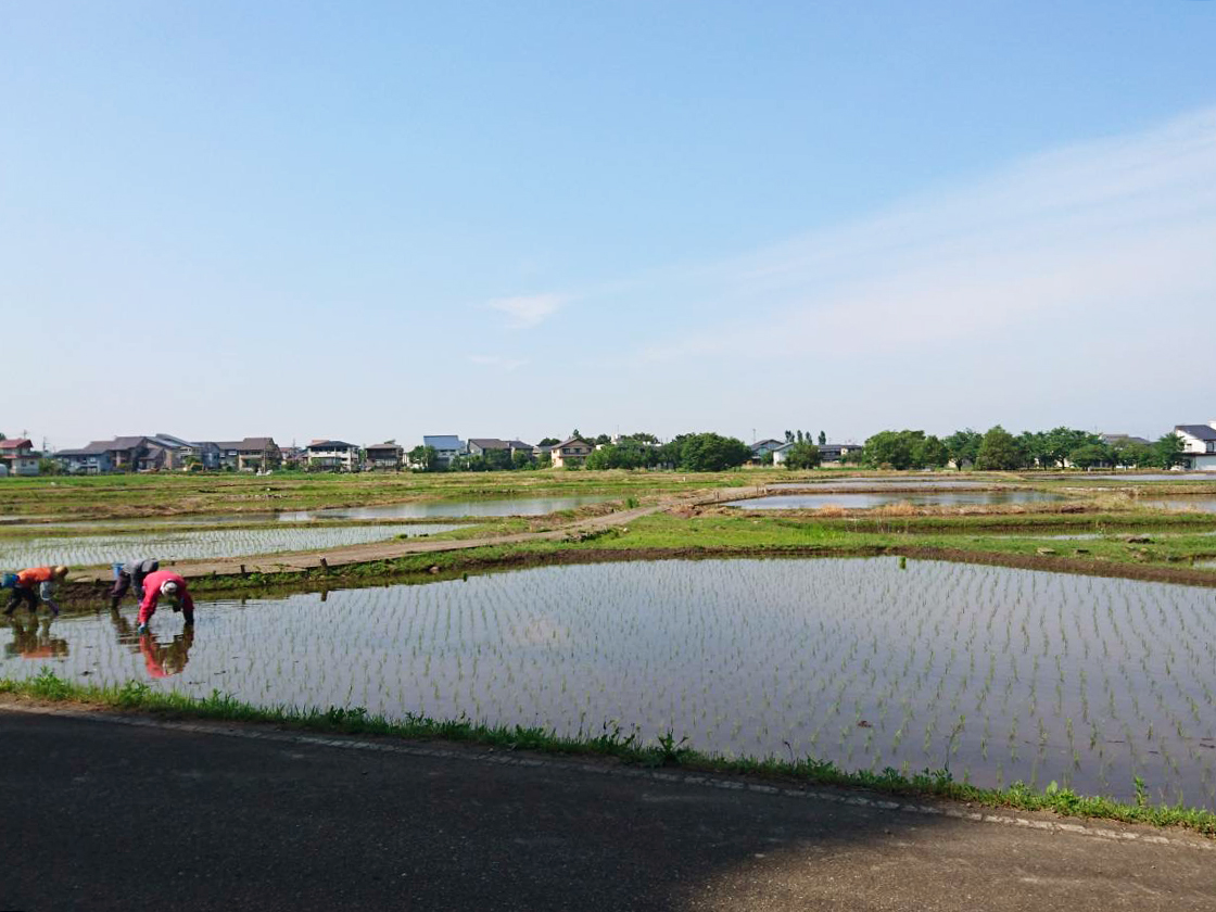 農家のむすめ居酒屋 田原家