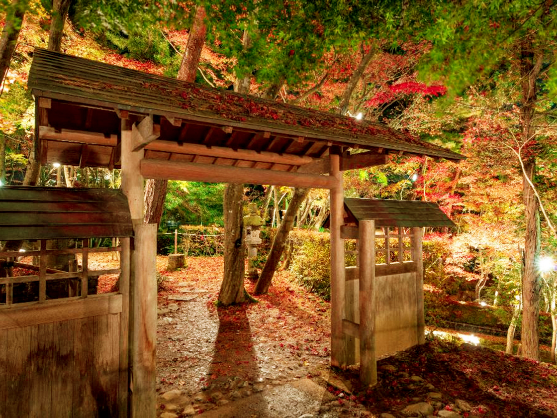 松雲山荘 紅葉ライトアップ