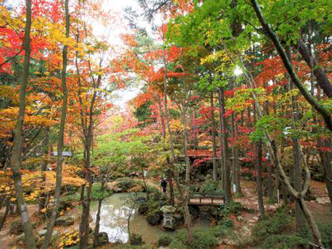 松雲山荘 紅葉ライトアップ