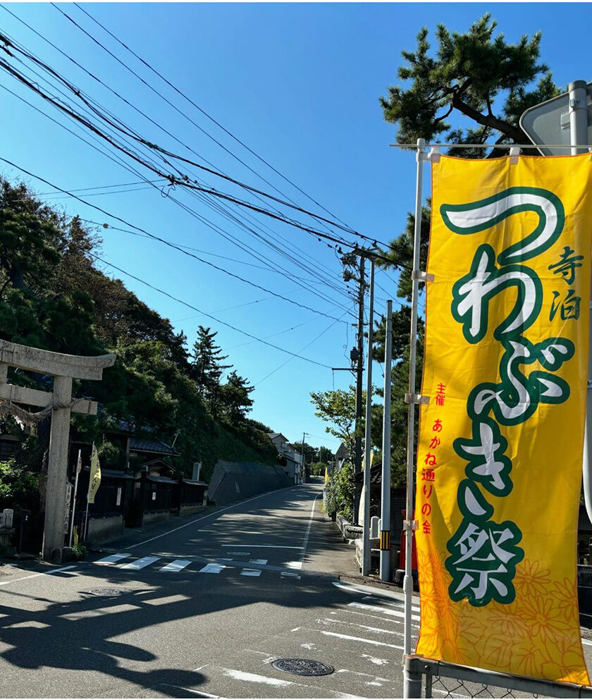 寺泊つわぶき祭り