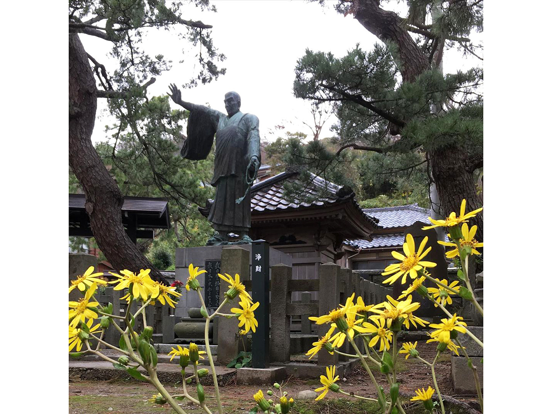 寺泊つわぶき祭り