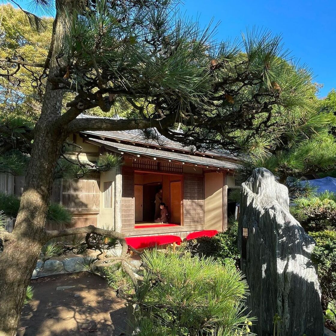 寺泊つわぶき祭り