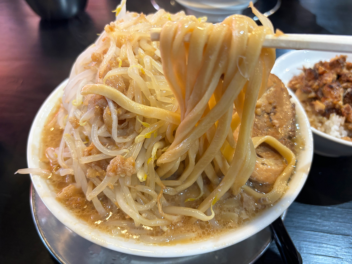 麺×肉×ベジ メガ豚パンチ 新発田店_ラーメン