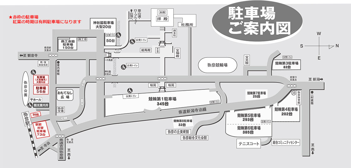 弥彦公園 もみじ谷ライトアップ