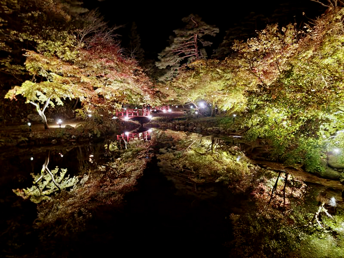 弥彦公園 もみじ谷ライトアップ