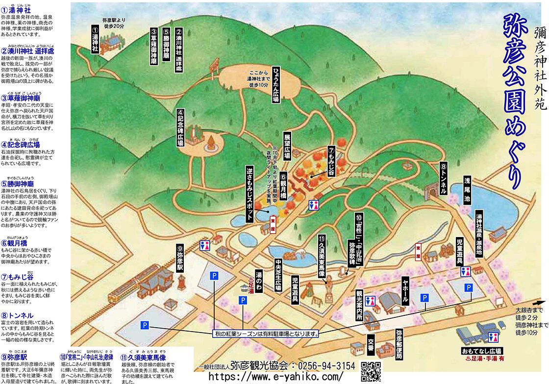 弥彦公園 もみじ谷ライトアップ