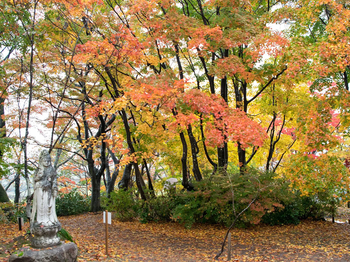 越路 もみじまつり