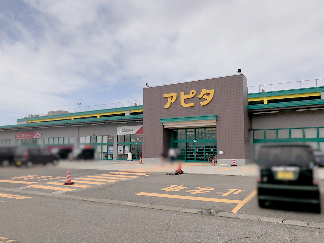 シュープラザアピタ新潟西店_場所