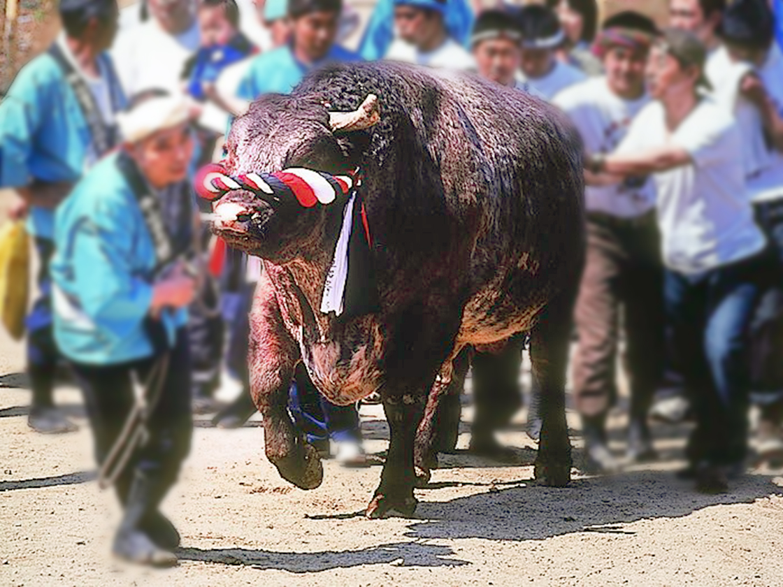 山古志産業まつり