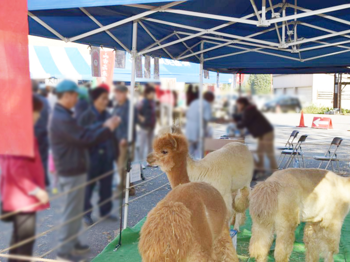 山古志産業まつり