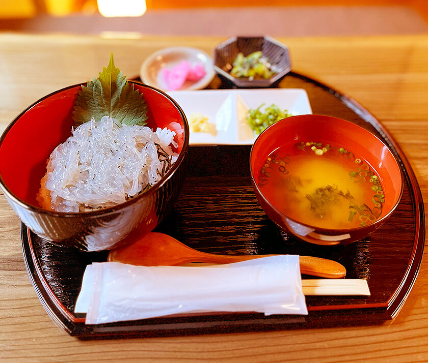 しらす丼屋 桔梗_生しらす丼