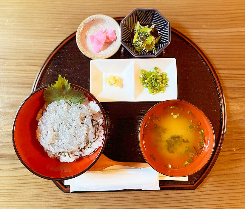 しらす丼屋 桔梗_生しらす丼