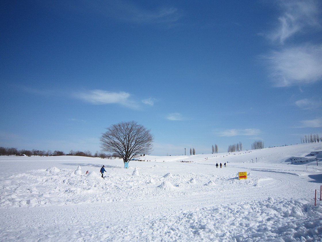 国営越後丘陵公園 えちごスノーワールド