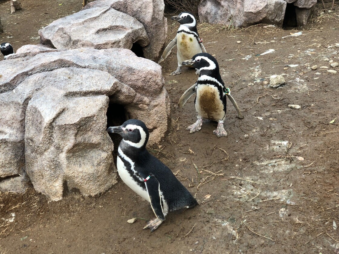 上越市立水族博物館「うみがたり」