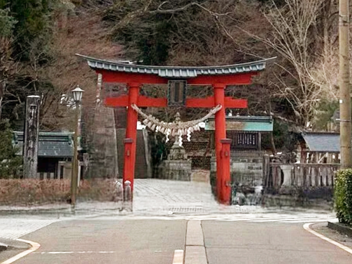 雪椿まつり