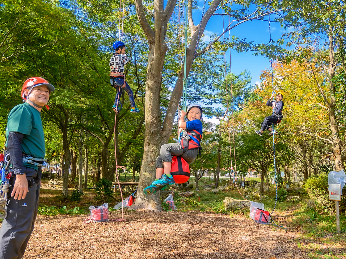 樽ヶ橋遊園のツリーイング
