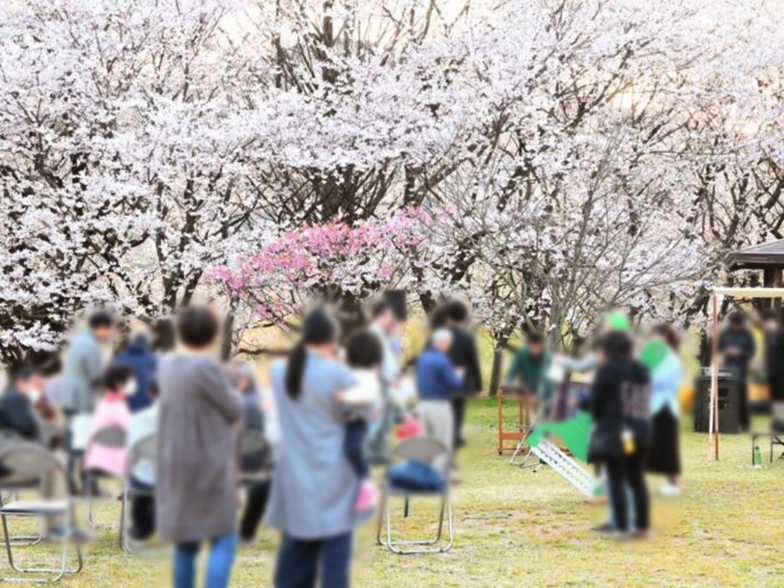 上堰潟桜まつり2025