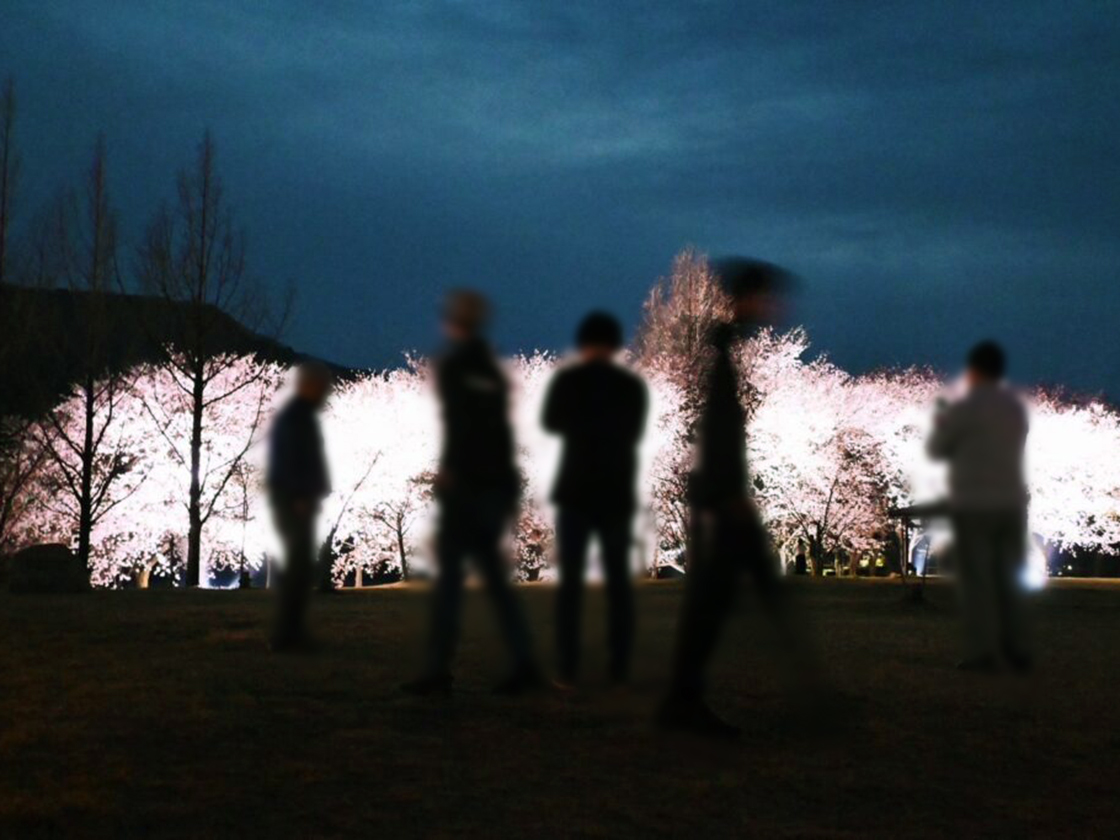 上堰潟桜まつり