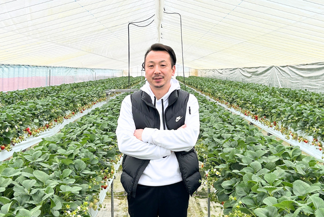 斉藤いちご園・斉藤裕志さん