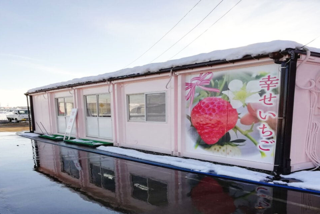 斉藤いちご園