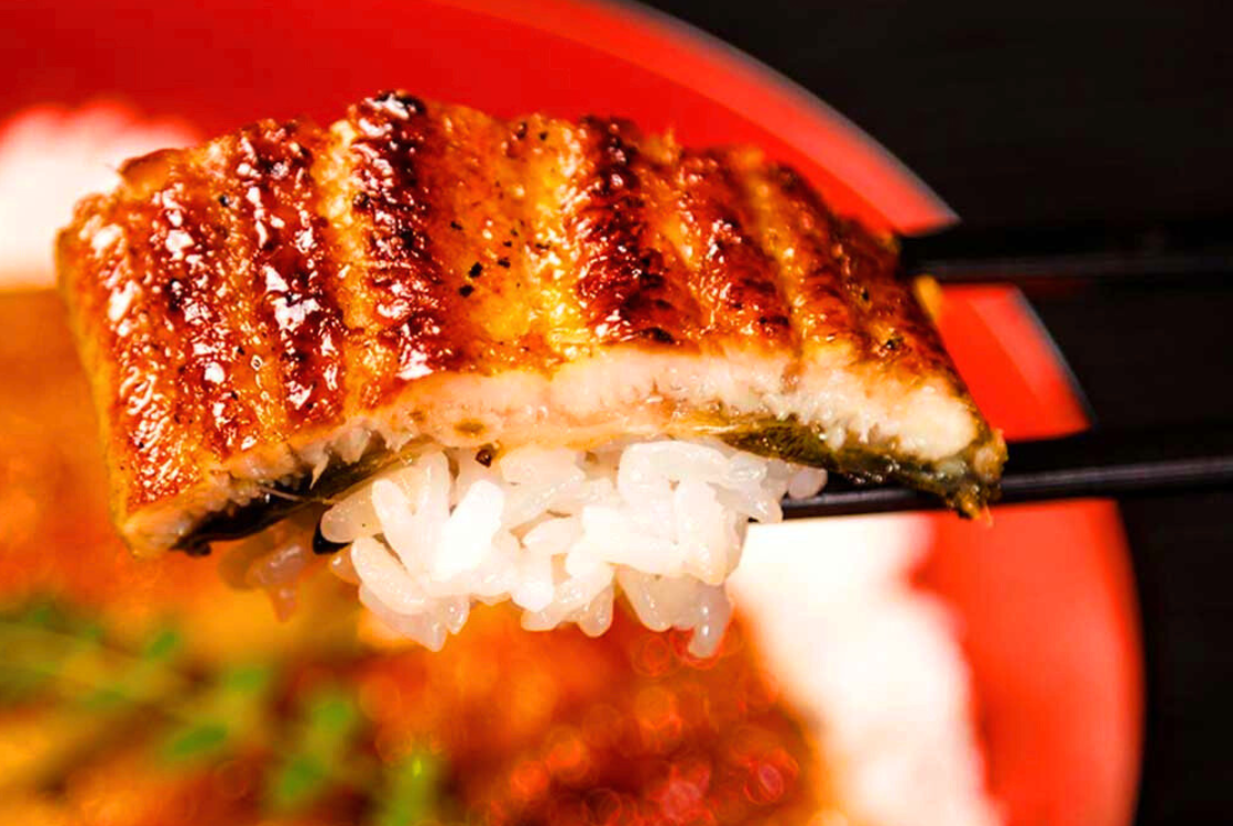 日本料理きふね