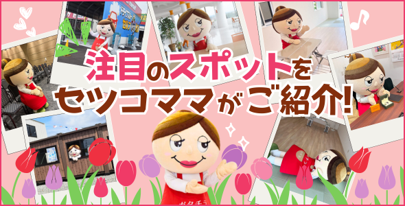 セツコの潜入レポート