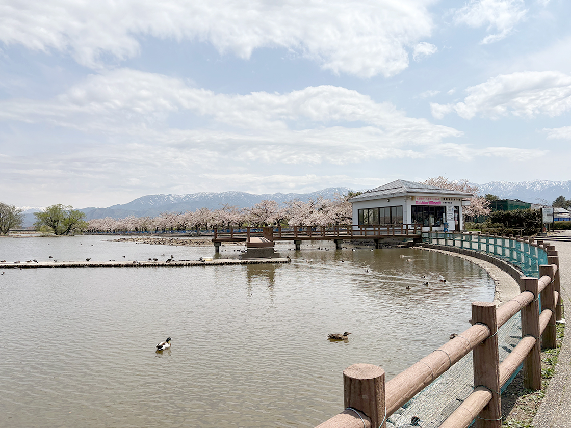 瓢湖水きん公園