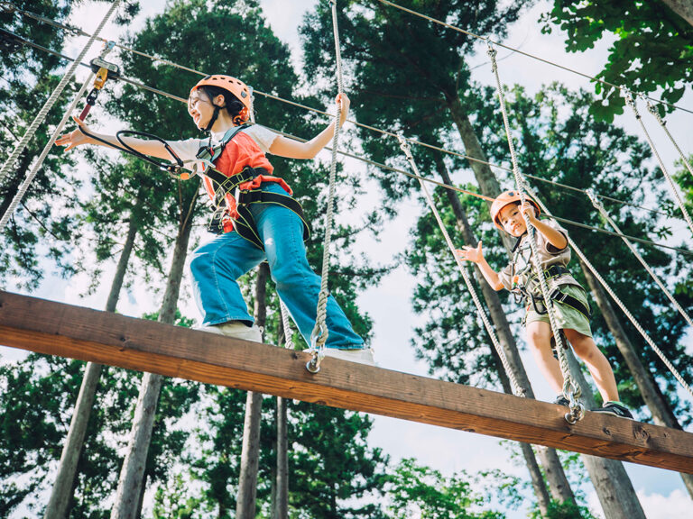 ツリーアドベンチャー