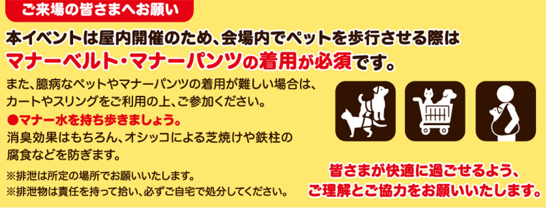 犬の陣・猫の陣