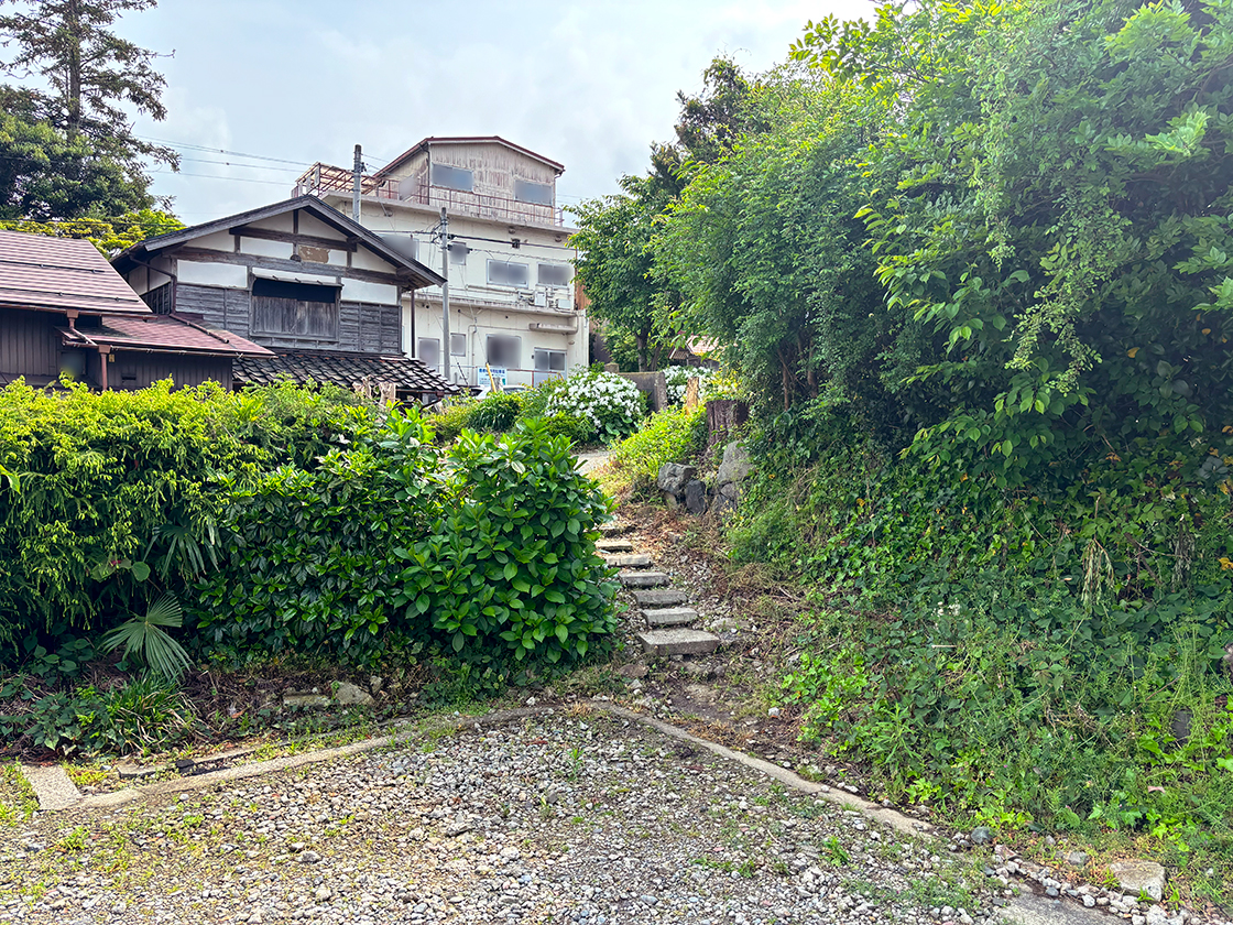岩室 とり蔦の