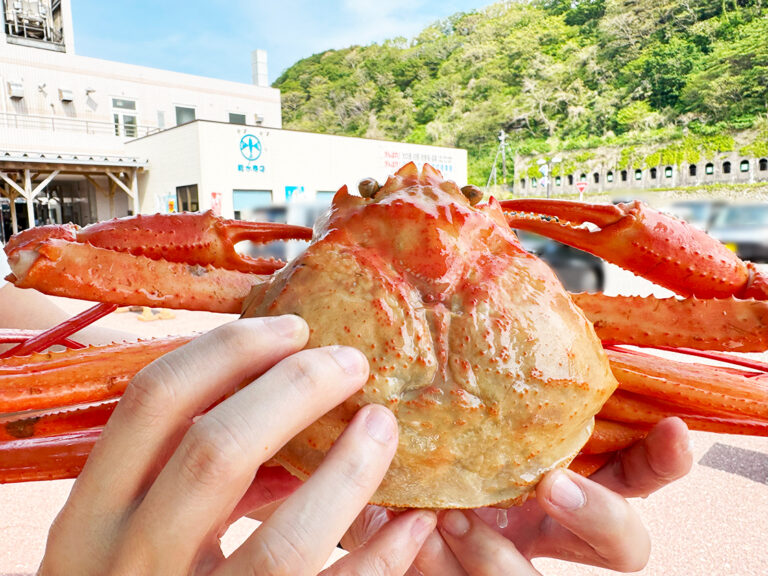 マリンドーム能生