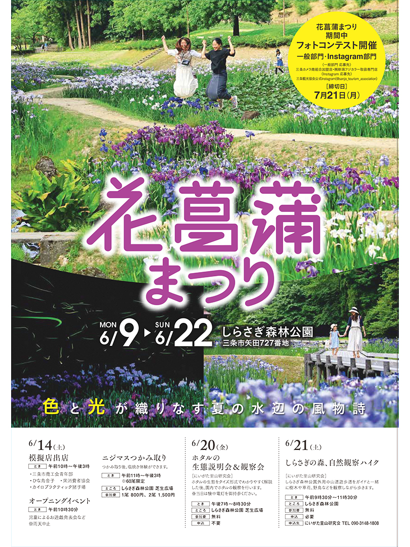 しらさぎ森林公園花菖蒲まつり