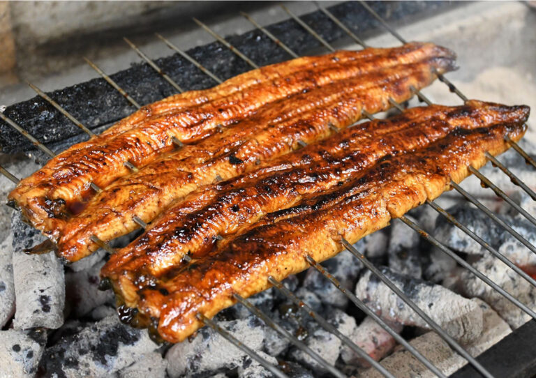 日本料理きふねの鰻