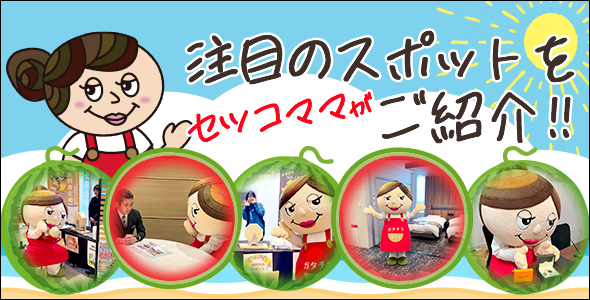 セツコの潜入レポート